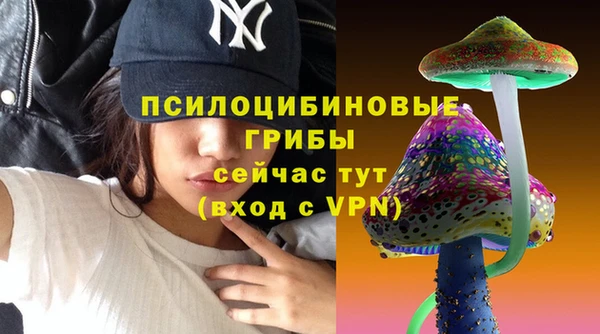 сатива Армянск
