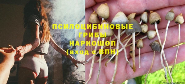 бутират Баксан