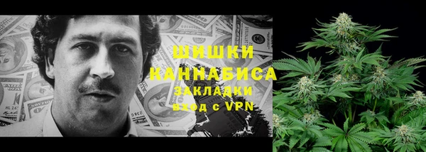 СК Аркадак